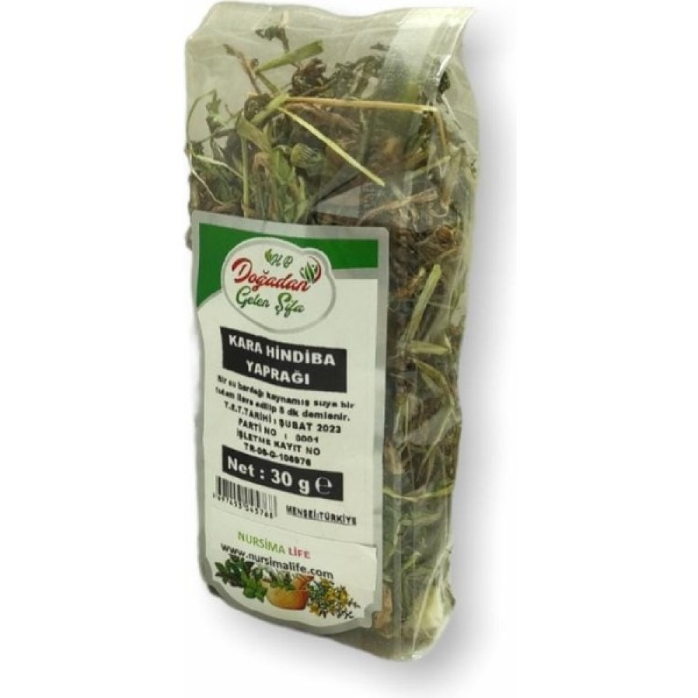 Nursima Kara Hindiba Yaprağı 30GR - 30 gr Tohum Fiyatı