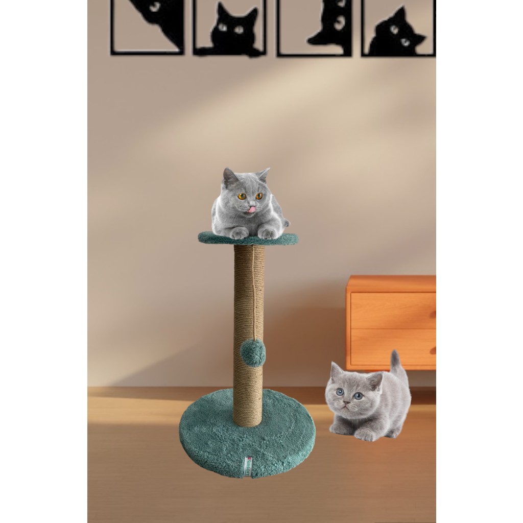 Nursoft Stepli Kedi Tırmalama Tahtası - Turkuaz Evcil Hayvan Ürünleri Fiyatı