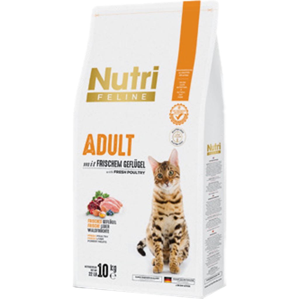 Nutri Feline Adult Tavuk Etli 10KG Nutri Feline Yetişkin Kedi Maması Evcil Hayvan Ürünleri Fiyatı