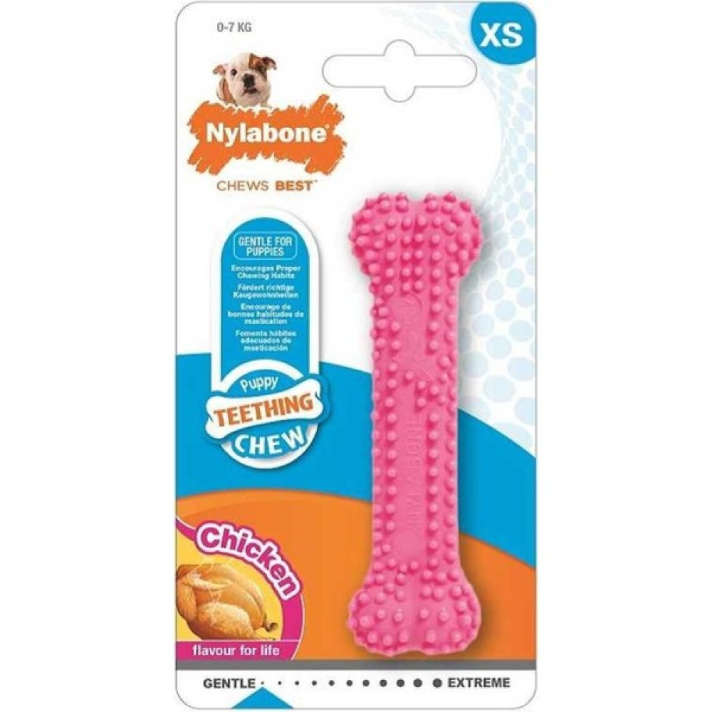 Nylabone Tavuk Aromalı Yavru Çiğneme Kemiği Xsmall Oto Boyaları Fiyatı