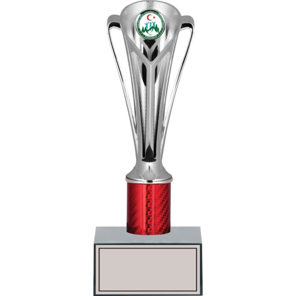 Odak Kişiye Özel Başarı Kupası-Futbol Kupası-Tören Kupası-Okul Kupası-Birincilik Kupası-Şampiyonluk Kupası-Turnuva Kupası Ödül Kupası GN189 27 cm Oto Boyaları Fiyatı