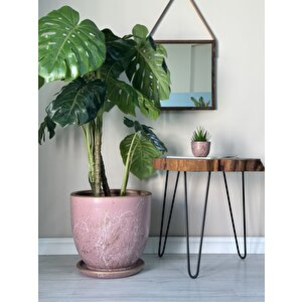 Odka Klasik Saksı Mia Tabaklı 38 Cm X 40 Cm Pembe Beyaz Gold Bej Mermer Desenli Saksı ve Aksesuarları Fiyatı