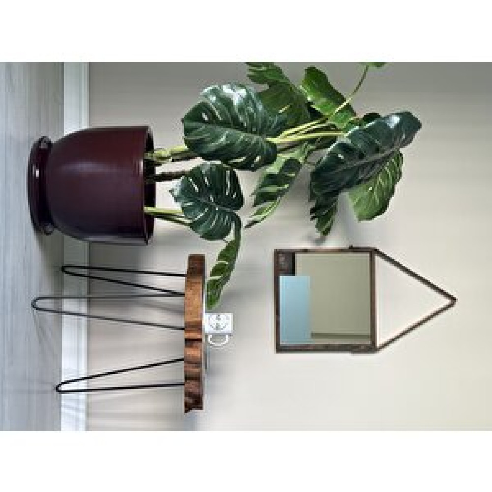 Odka Klasik Saksı Tabaklı 23 Cm X 25 Cm Bordo Beyaz-Bordo Saksı ve Aksesuarları Fiyatı