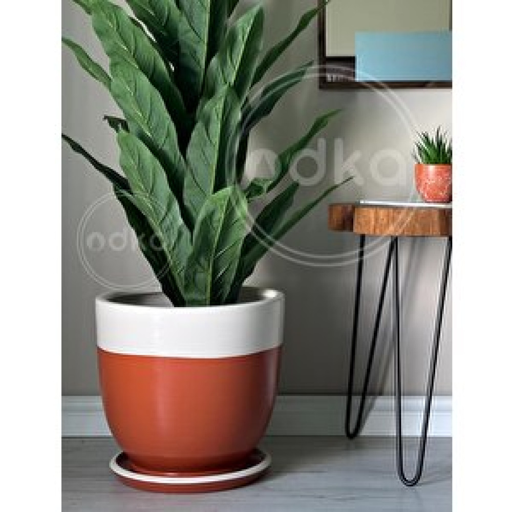 Odka Klasik Saksı Tabaklı 23 Cm X 25 Cm Kiremit Ekru Gri-Siyah Saksı ve Aksesuarları Fiyatı