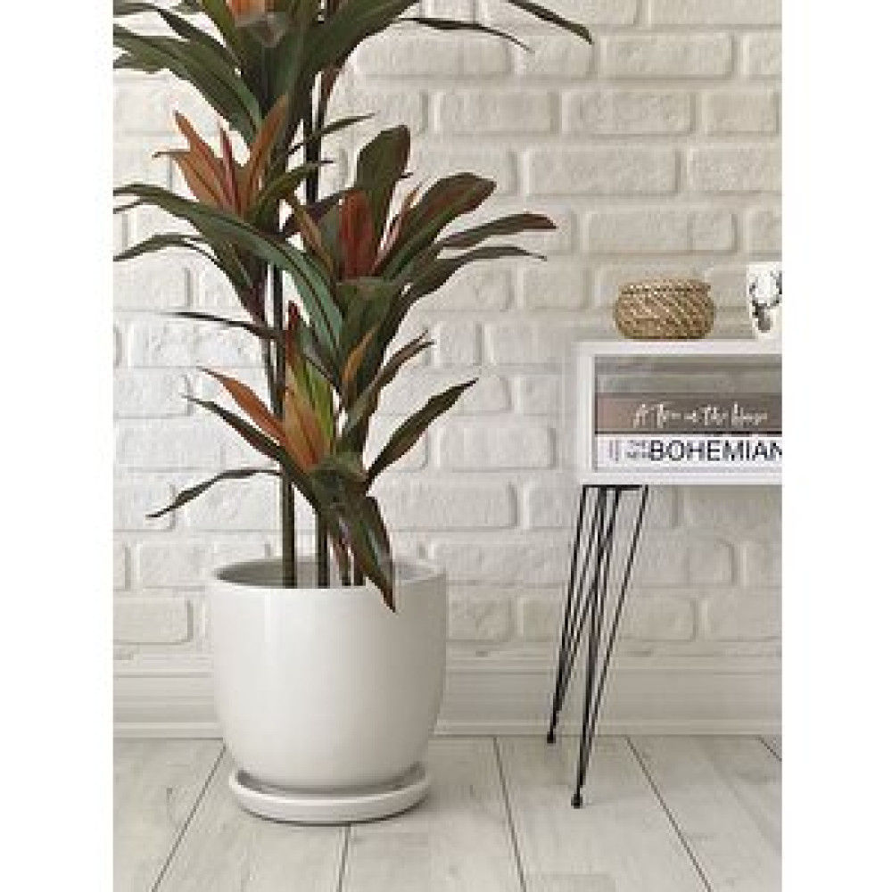 Odka Klasik Saksı Tabaklı 38 Cm X 40 Cm Beyaz Beyaz Saksı ve Aksesuarları Fiyatı
