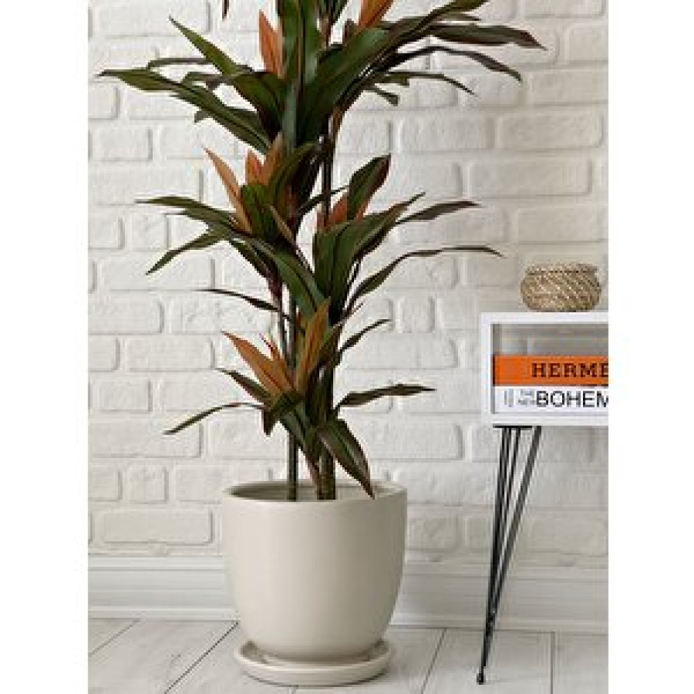 Odka Klasik Saksı Tabaklı 38 Cm X 40 Cm Ekru Ekru Saksı ve Aksesuarları Fiyatı