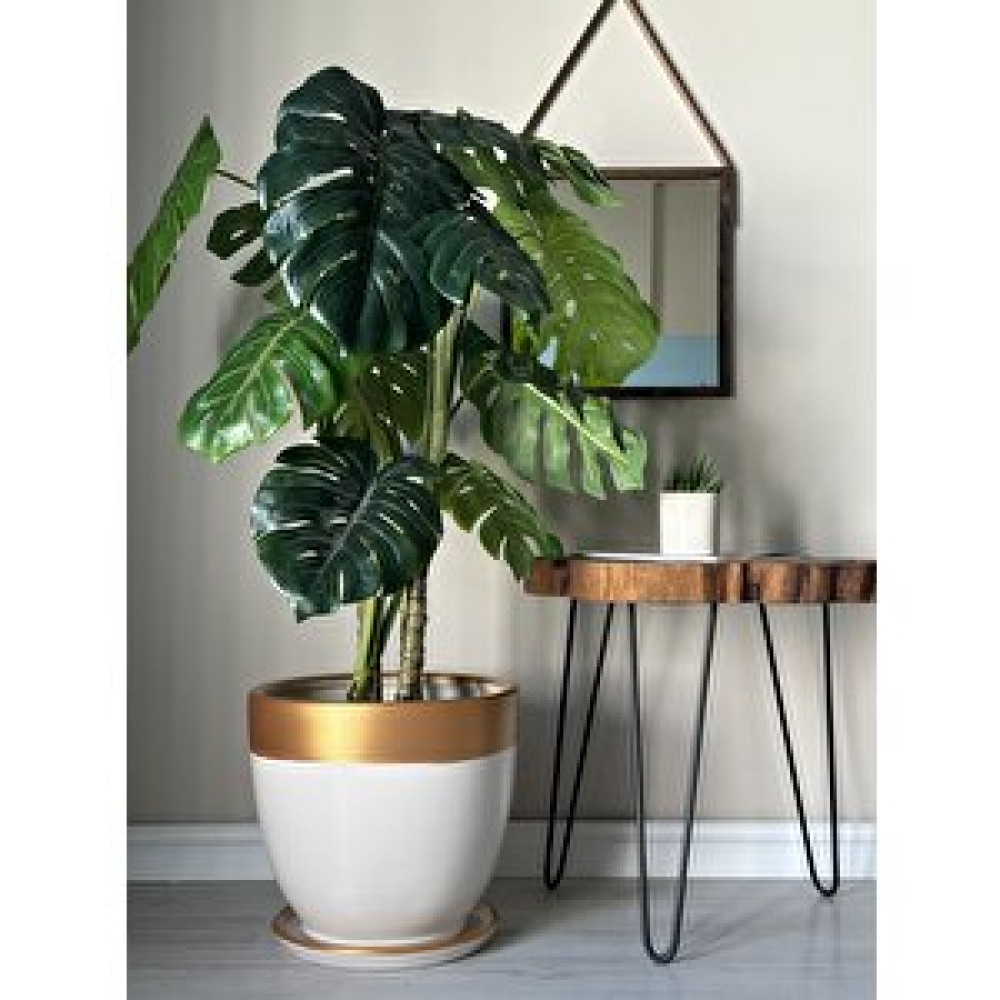 Odka Klasik Saksı Tabaklı  38 Cm X 40 Cm Ekru Gold Renk Ekru Gold Saksı ve Aksesuarları Fiyatı