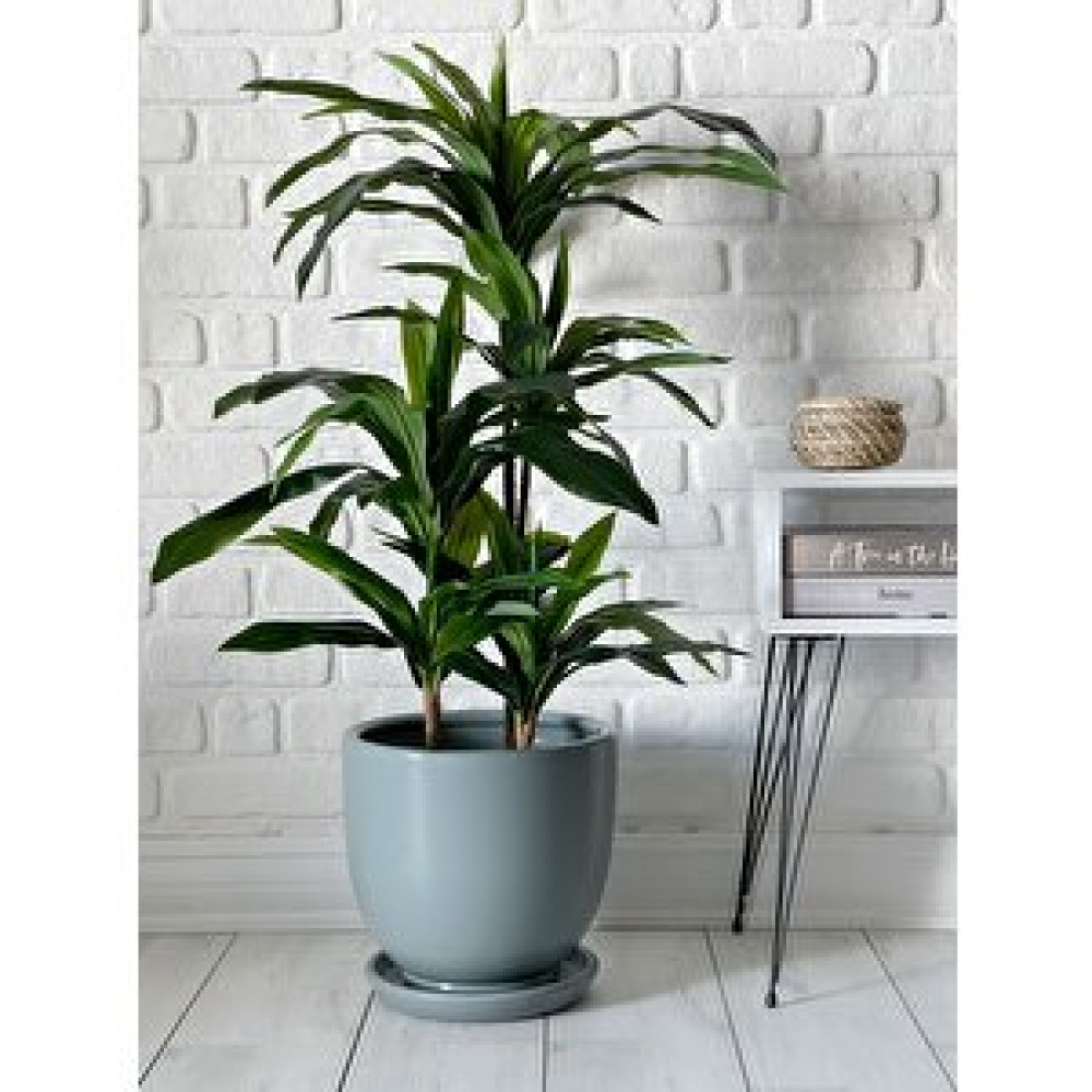 Odka Klasik Saksı Tabaklı 38 Cm X 40 Cm Füme Füme Saksı ve Aksesuarları Fiyatı