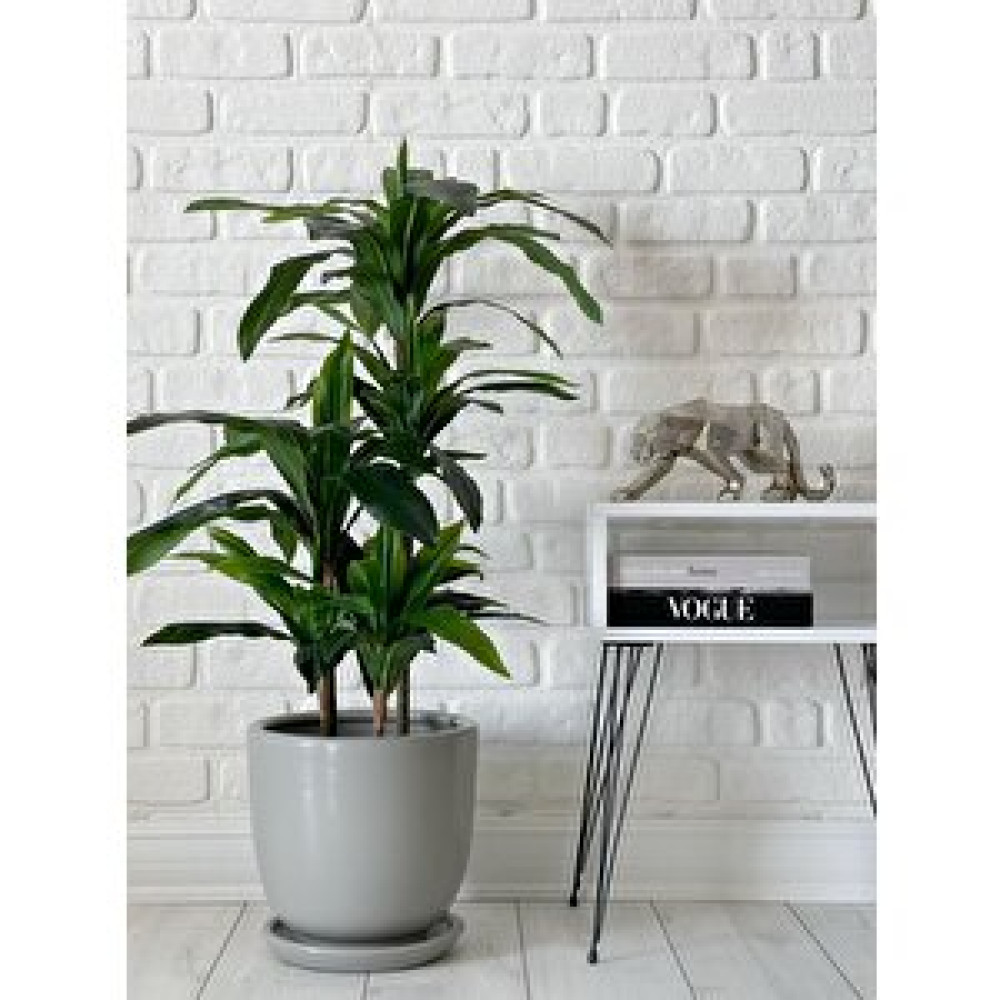 Odka Klasik Saksı Tabaklı 38 Cm X 40 Cm Grani̇t Granit Saksı ve Aksesuarları Fiyatı
