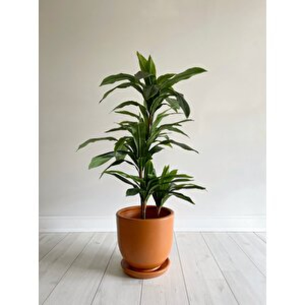 Odka Klasik Saksı Tabaklı 38 Cm X 40 Cm Ki̇remi̇t Kiremit Saksı ve Aksesuarları Fiyatı