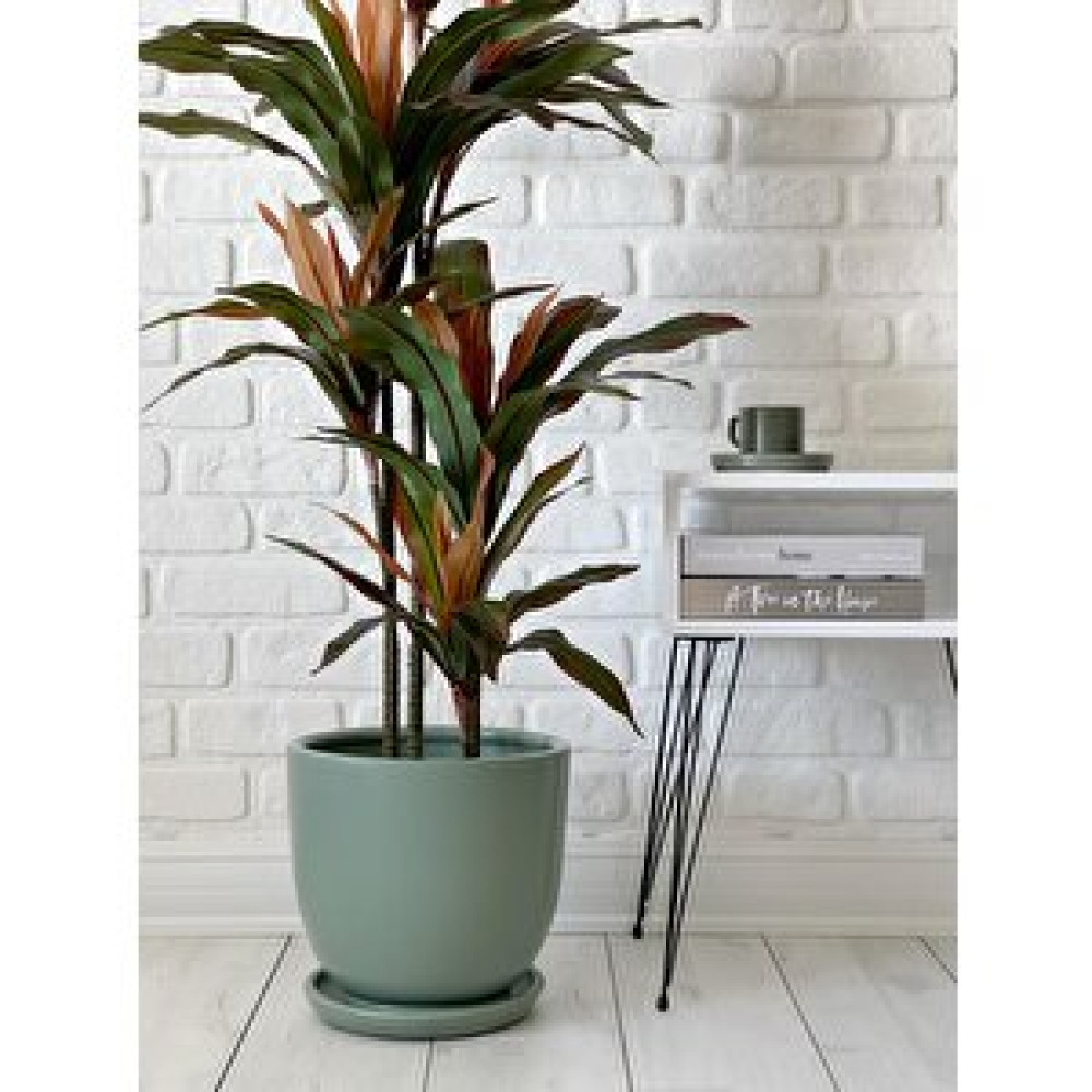 Odka Klasik Saksı Tabaklı 38 Cm X 40 Cm Mi̇nt Yeşi̇li̇ Mint Yeşili Saksı ve Aksesuarları Fiyatı