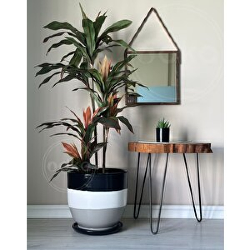 Odka Klasik Saksı Tabaklı 38 Cm X 40 Cm Si̇yah- Beyaz-granit Siyah Beyaz Gri Saksı ve Aksesuarları Fiyatı