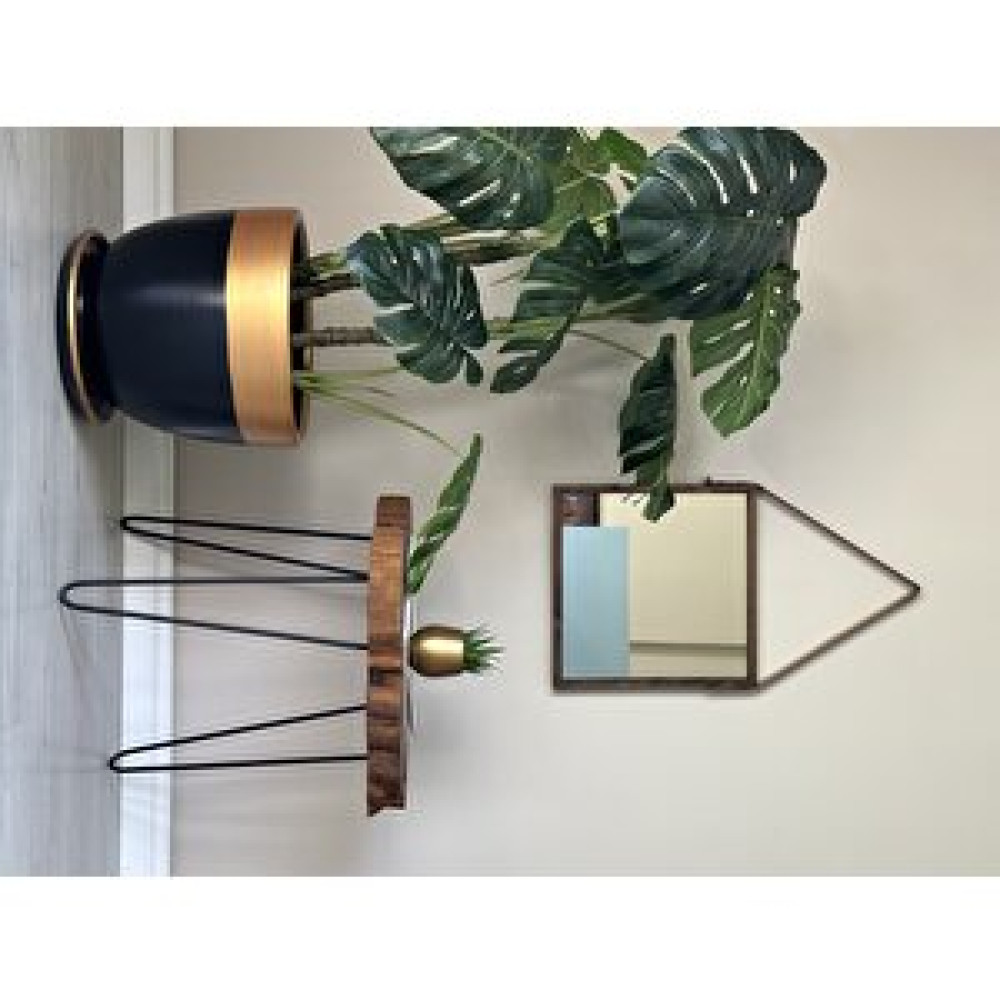 Odka Klasik Saksı Tabaklı 38 Cm X 40 Cm Si̇yah-gold Gold Siyah Saksı ve Aksesuarları Fiyatı