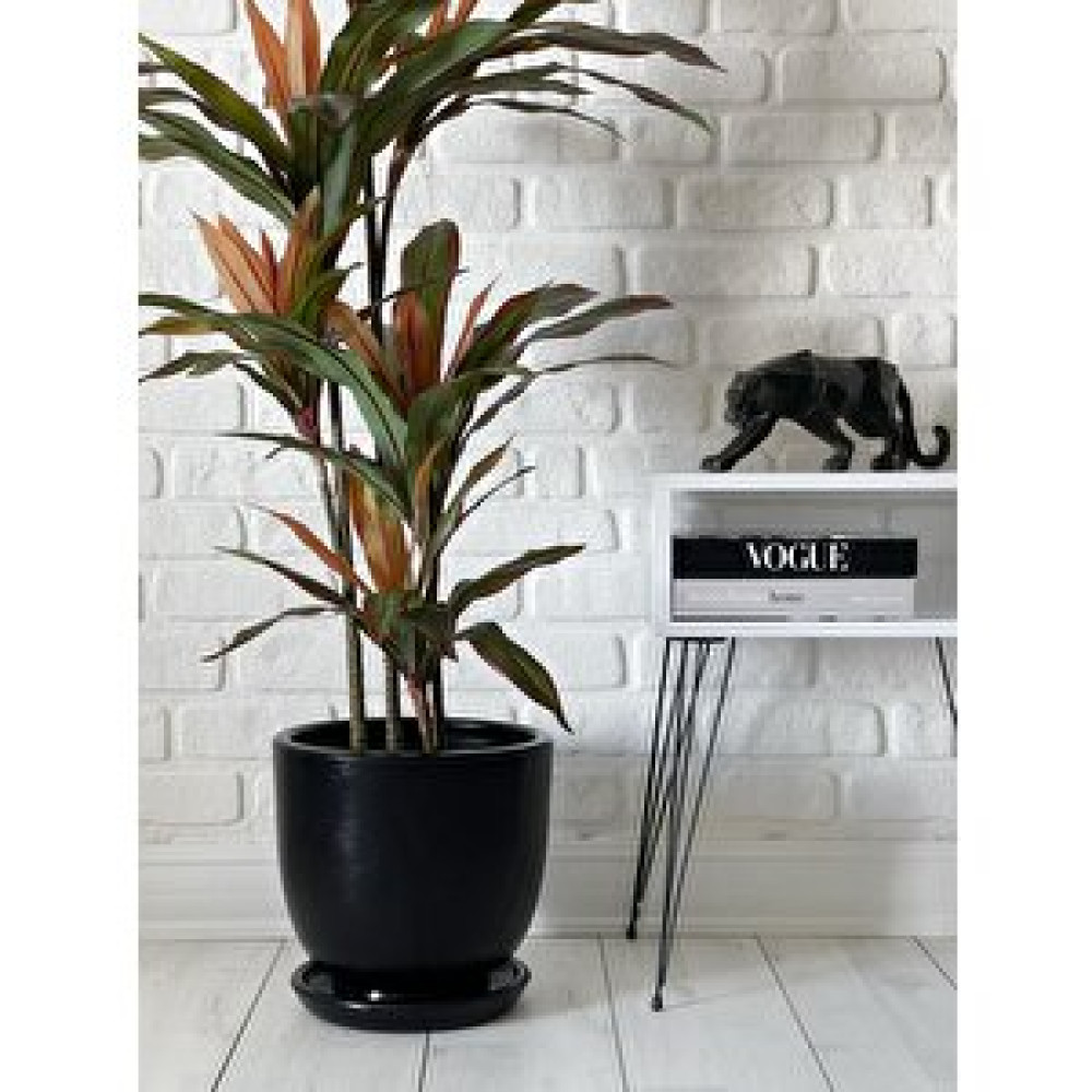 Odka Klasik Saksı Tabaklı 38 Cm X 40 Cm Si̇yah Siyah Saksı ve Aksesuarları Fiyatı