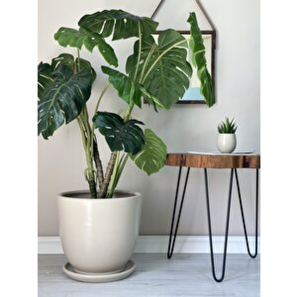 Odka Klasik Saksı Tabaklı 38 Cm X 40 Cm Taş Taş Saksı ve Aksesuarları Fiyatı