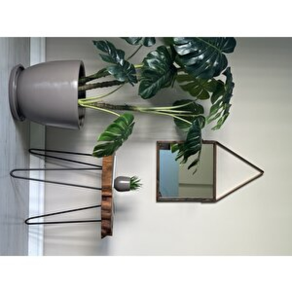 Odka Klasik Saksı Tabaklı 38 Cm X 40 Cm Vi̇zon Vizon Saksı ve Aksesuarları Fiyatı