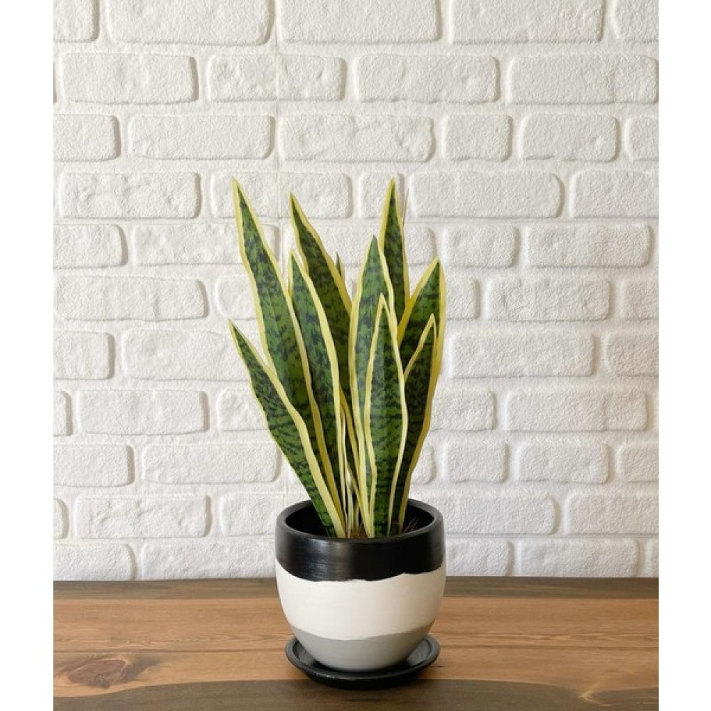 Odka Saksı Tabaklı 17 cm Modern Seri Siyah+Beyaz+Granit Renk Saksı ve Aksesuarları Fiyatı
