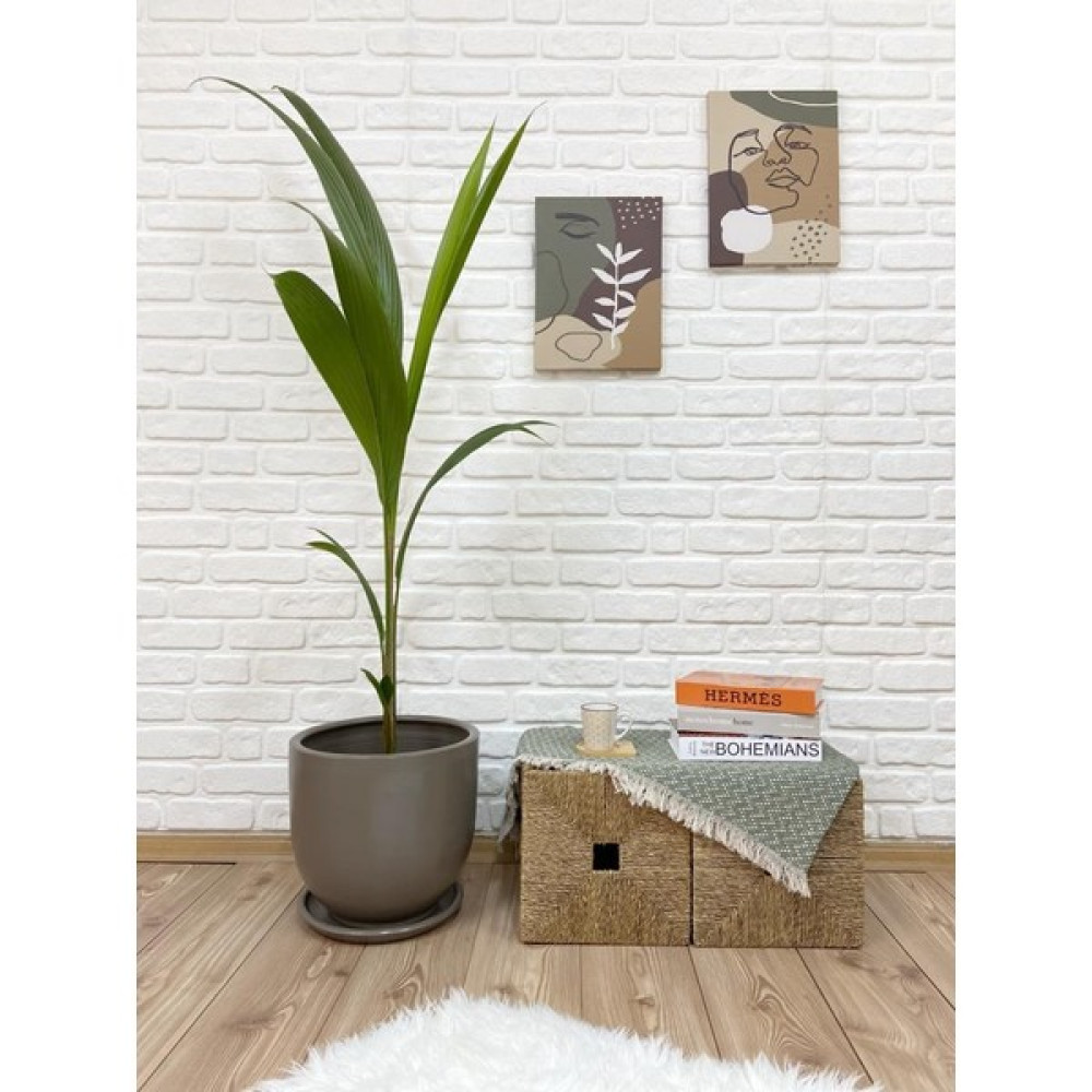 Odka Saksı Tabaklı 40CM Klasik Saksı Serisi Vizon Renk Saksı ve Aksesuarları Fiyatı