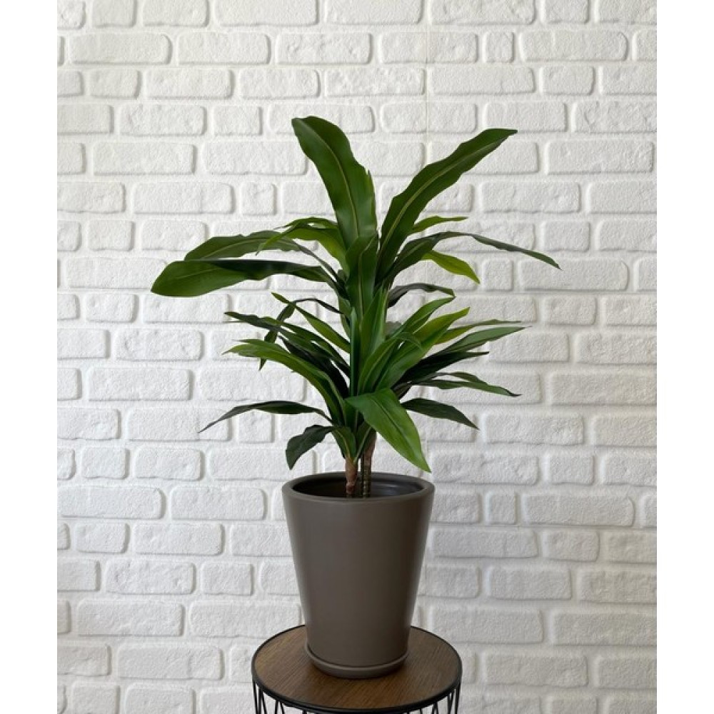 Odka Uzun Konik Saksı Tabaklı 25CM - Vizon Saksı ve Aksesuarları Fiyatı