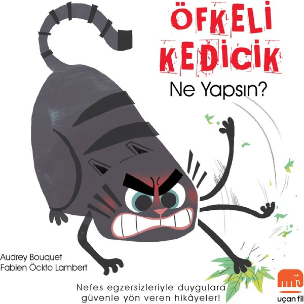 Öfkeli Kedicikne Yapsın? Audrey Bouquet - Fabien Öckto Lambert Çocuk Masal Fiyatı