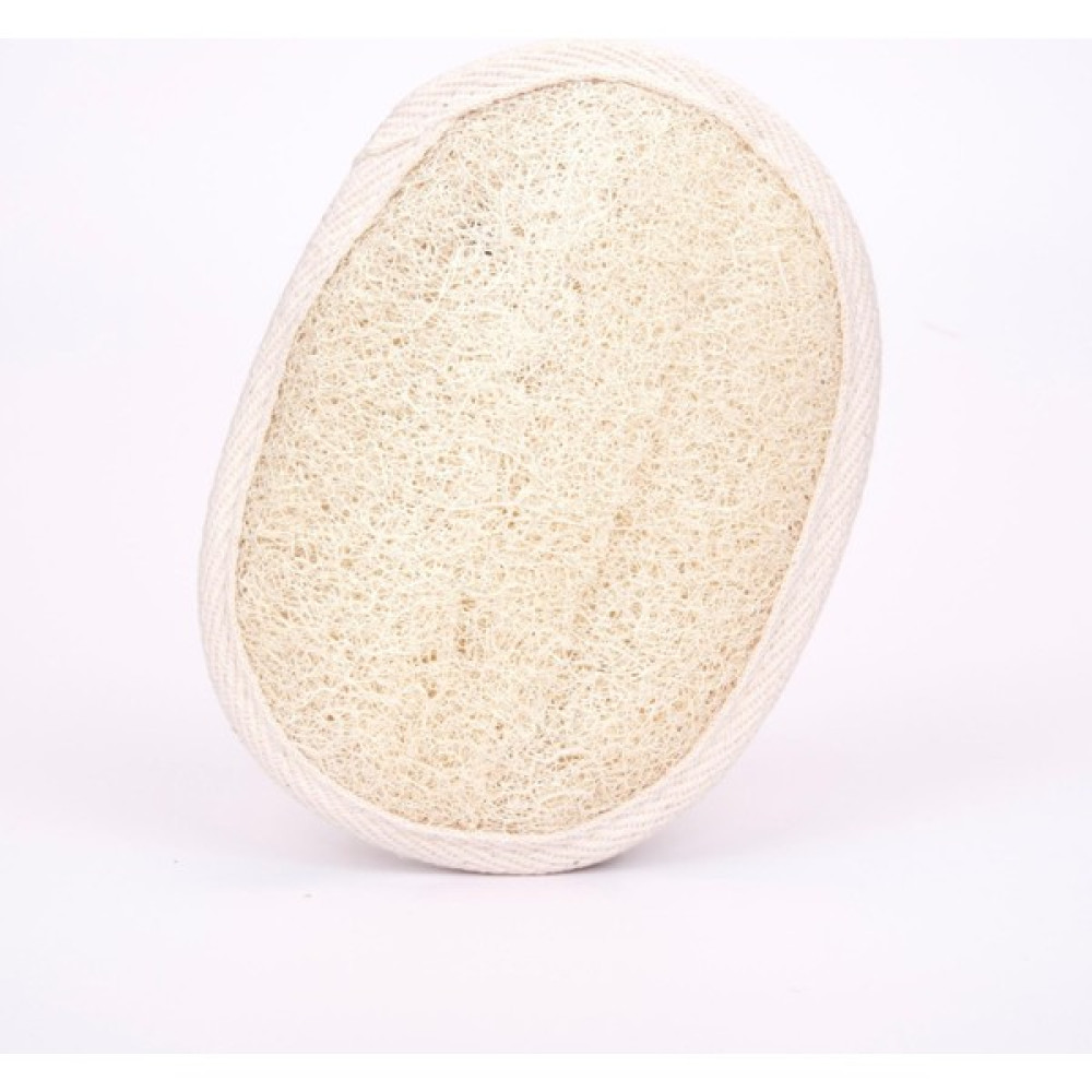 Oıa %100 Doğal Kabak Vücut Kesesi Oval Büyük Boy Peeling Etkili & Ölü Deri Karşıtı Çift Taraflı Oto Boyaları Fiyatı