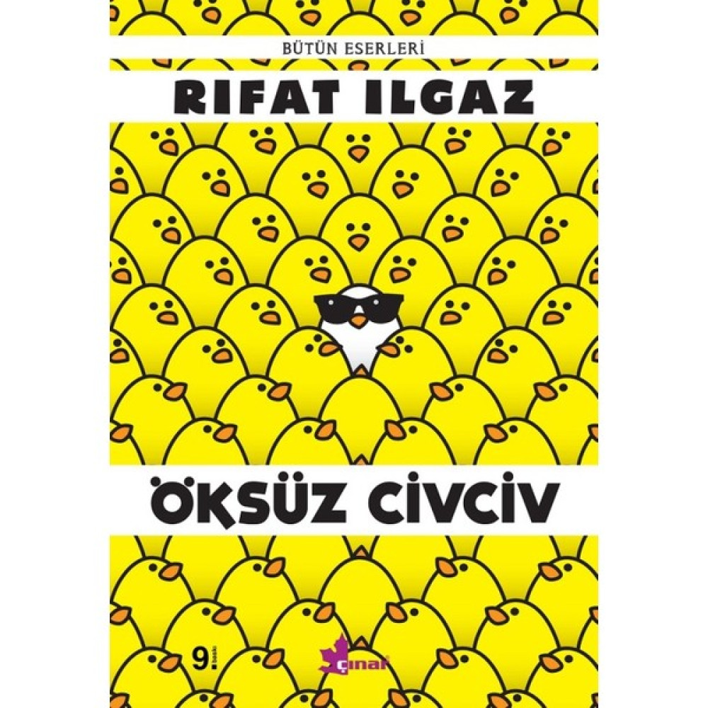 Öksüz Civciv Çocuk Öykü Fiyatı