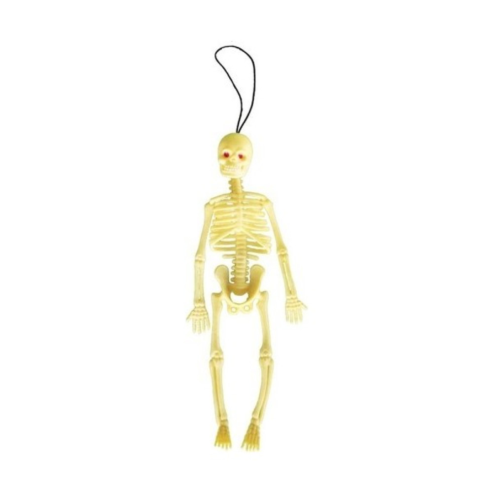 Okul Store Iskelet Modeli 22CM Okul Malzemeleri Fiyatı