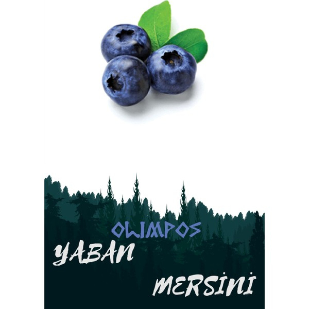 Olimpos Tarım Yaban Mersini - Blueberry (Chandler) Meyve Fidanı Tüplü - 1 ADET Oto Boyaları Fiyatı