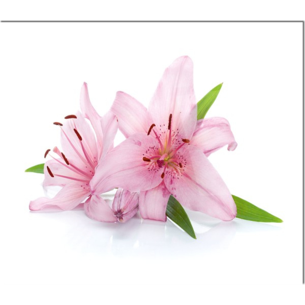 Olinpa Cam Ocak Arkası Koruyucu | Pembe Çiçek - 50 x 50 cm Mutfak Gereçleri Fiyatı