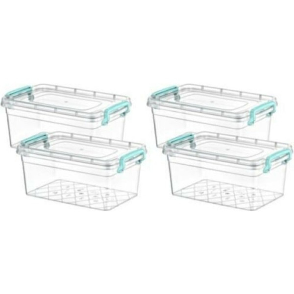 Oliva Plastik Kutu 4'lü Kapaklı Saplı Saklama Kabı 2 Lt 14 x 22 x 10 cm Saklama Kapları Fiyatı
