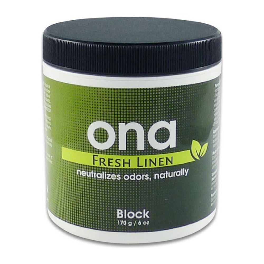 Ona Block Fresh 170 gr Oto Boyaları Fiyatı