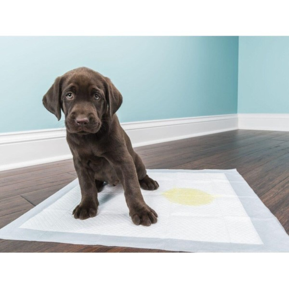 Onlyone Kedi Köpek Çiş Pedi 30 Lu Evcil Hayvan Ürünleri Fiyatı