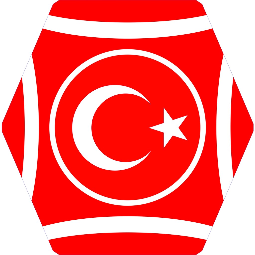 Onur Uçurtma Türk Bayraklı Plastik Altıgen Uçurtma Diğer Fiyatı