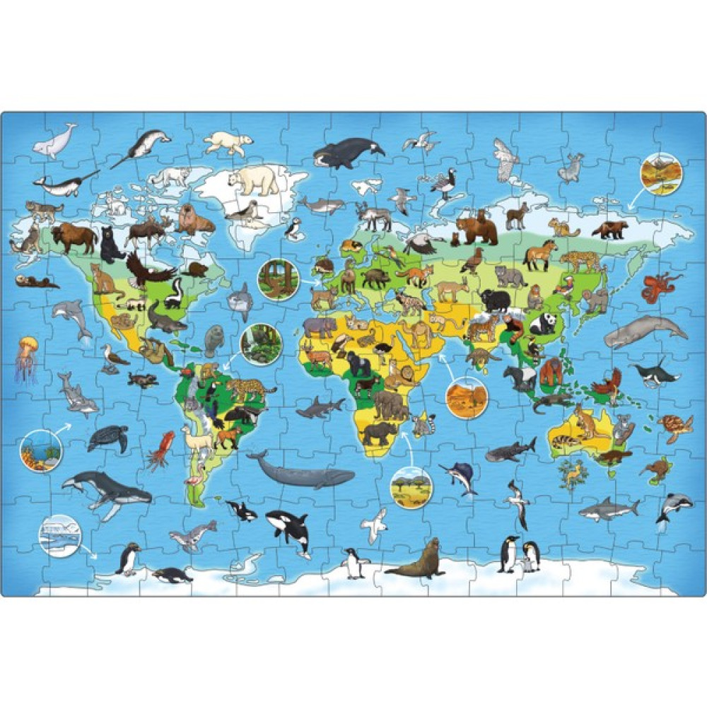 Orchard Animal World Eğitici Oyuncak Fiyatı
