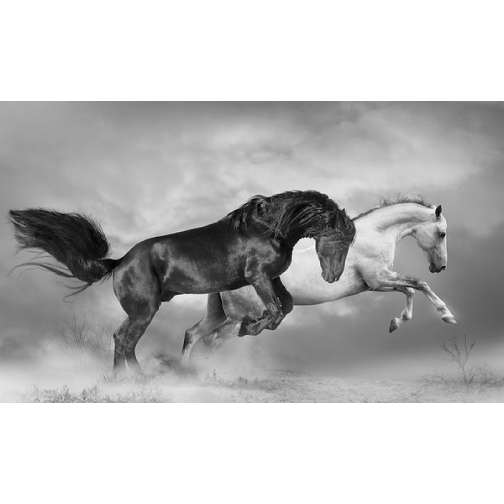 Orhun Store At 3D Poster - 3 Boyutlu Tek Parça Duvar Kağıdı - 250 x 150 - Renkli Poster Fiyatı