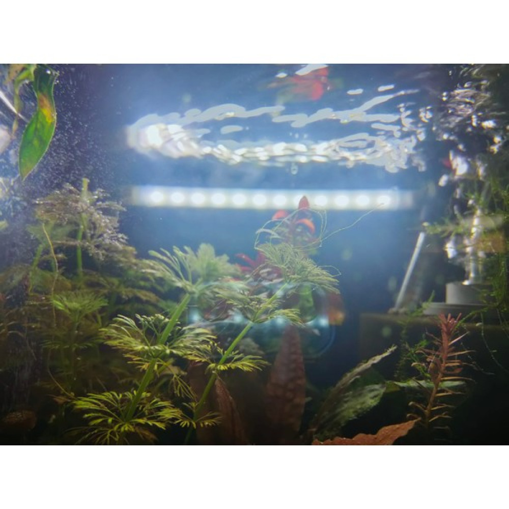 Orion Led Aquaslim Serisi -30 cm Beyaz Akvaryum LED Lamba - Aydınlatma Evcil Hayvan Ürünleri Fiyatı