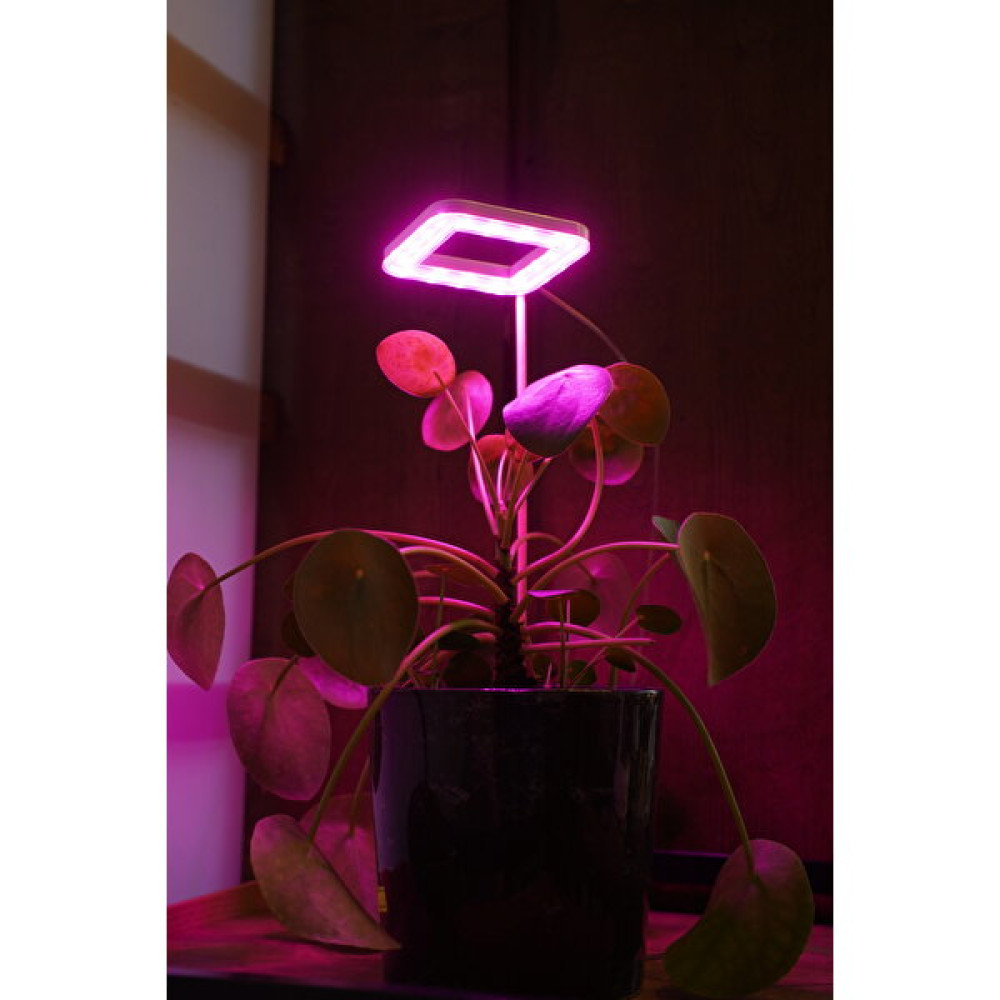 Orion Led Bitki Geliştirme LED Lamba 5V USB Tam Spektrumlu Bitki Yetiştirme LED Lamba Kare Günışığı -Bitki Işık 8W - Pembe - Mor Bitki Fiyatı
