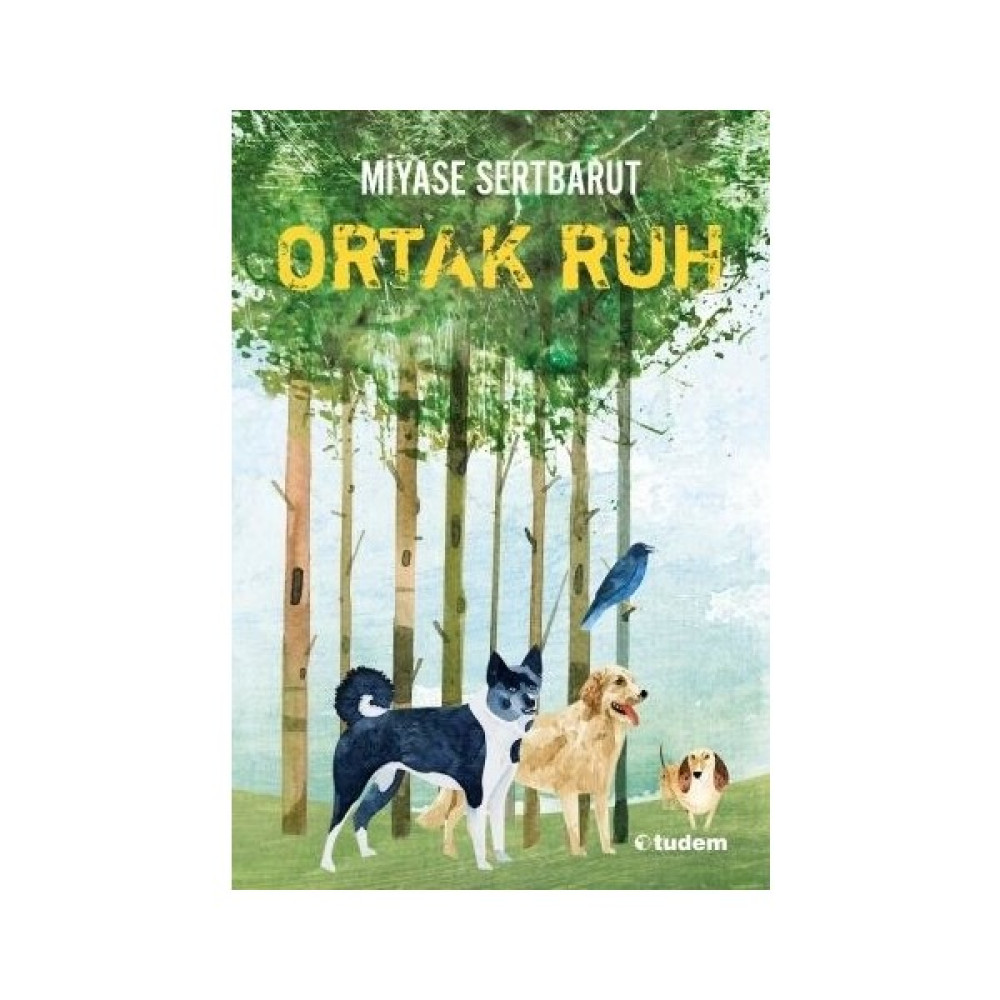 Ortak Ruh - Miyase Sertbarut Çocuk Roman Fiyatı
