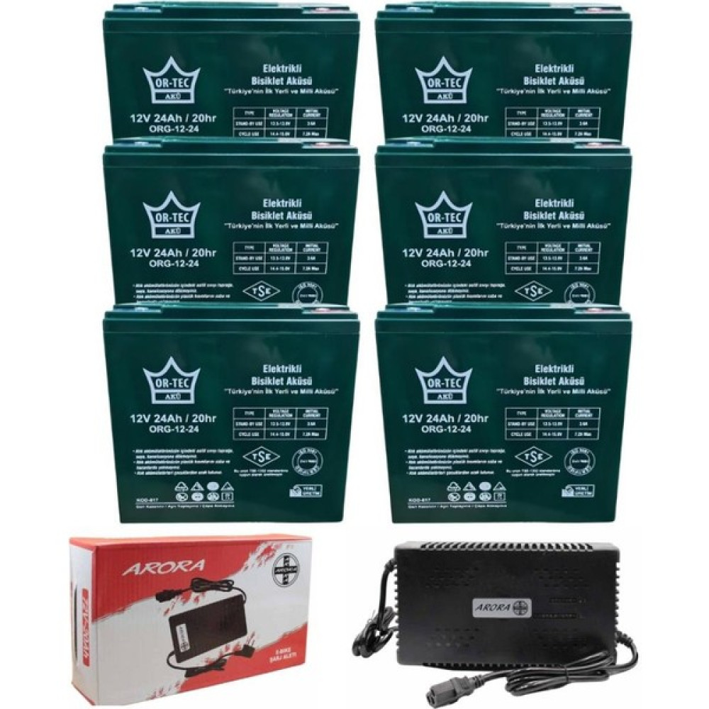Ortec 12V 24AH 6'lı Elektrikli Motorsiklet Aküsü ve Arora 72V 20-24 Şarj Aletli Set Akü Fiyatı
