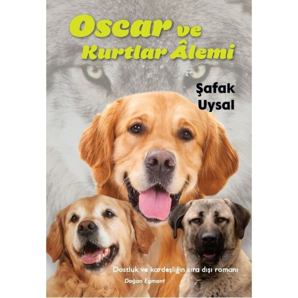 Oscar Ve Kurtlar Alemi - Şafak Uysal Öykü Kitapları Fiyatı