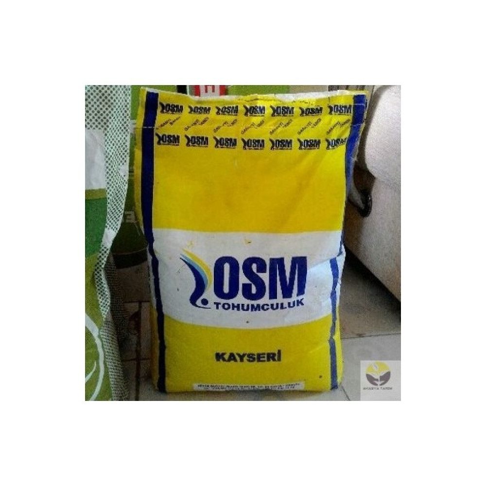 Osm Kayseri Yonca Tohumu 10 Kg Yonca Tohum Fiyatı