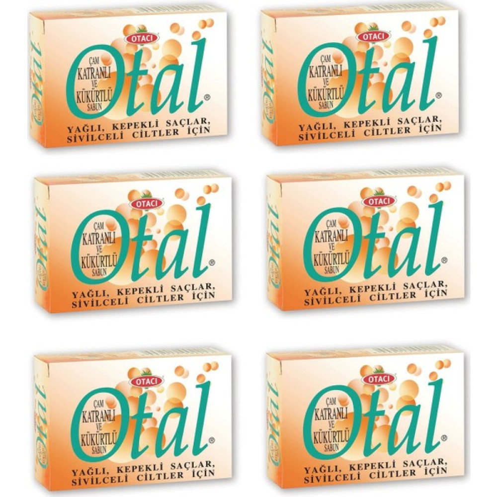 Otacı Otal Çam Katranlı ve Kükürtlü Sabun 80 gr x 6 Şampuan ve Saç Kremi Fiyatı