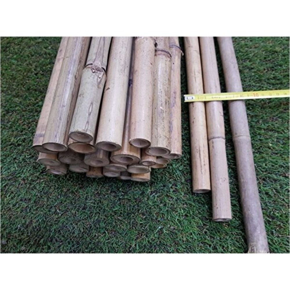 Ötay Bambu Çubuk 300 Cm 5 Adet 26-28 Mm Bambu Çubuğu Bambu Çubukları Bitki Destek Çubuğu - 300cm Bitki Fiyatı