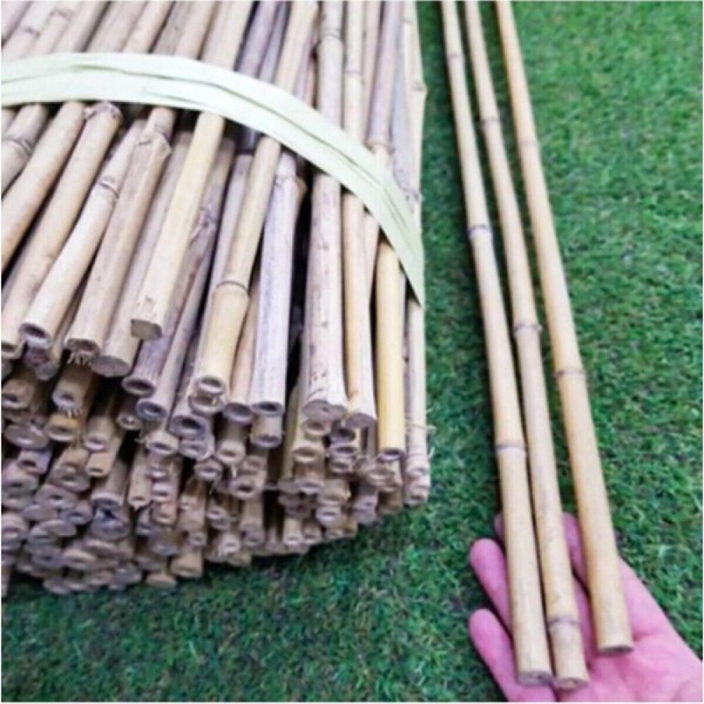Ötay Kargı Bambu Bitki Destek Çubuğu 50 cm 50 Adet Kargı Bitki Destek Çubuğu - 6 - 9 mm Bahçe Dekorasyon & Düzenleme Fiyatı