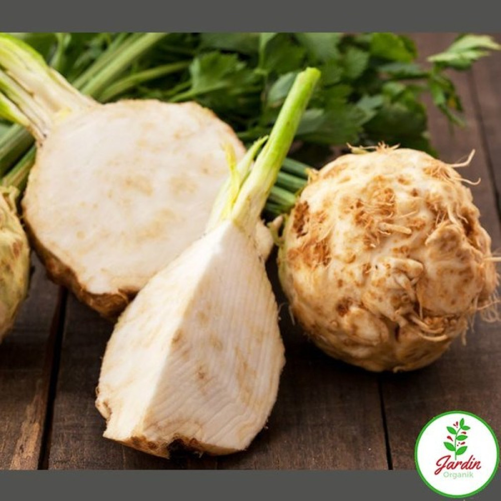 Oxe Garden Kereviz Celery Tohumu 100 'li Akbaş Doğal Tohum Bahçe İçin - 100 Adet Tohum Fiyatı