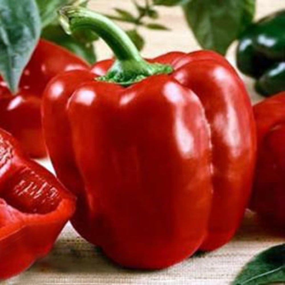 Oxe Garden Salçalık Maraş Dolmabiber Tohumu 50 'li Ev ve Bahçe İçin - 50 Adet Tohum Fiyatı