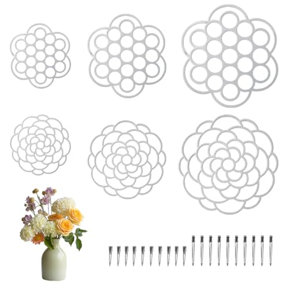OYEFLY 6Pcs Flower Arrangement Holder,Metal Floral Grid Used for Vase Flower Arrangement Art (4in5in6in6)