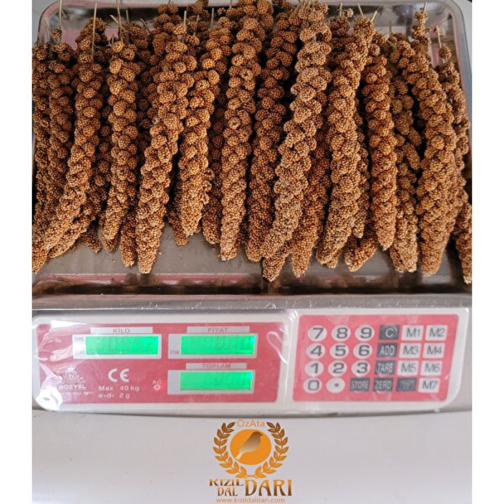 Özata Kızıl Dal Darı 1kg Orta Boy Yerli Üretim Muhabbet Kuşu ve Papağan Yemleri Evcil Hayvan Ürünleri Fiyatı