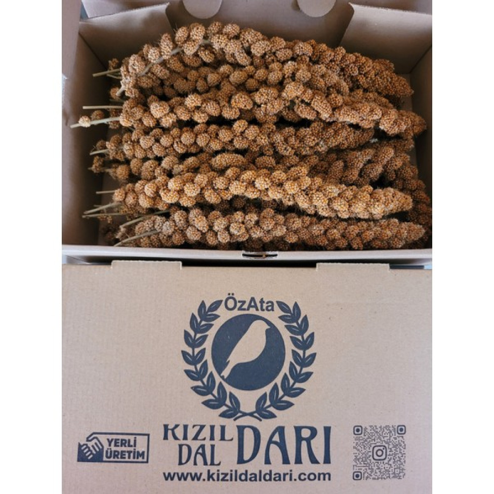 Özata Kızıl Dal Darı 500 gr Yerli Üretim Muhabbet Kuşu ve Paraket Yemi Evcil Hayvan Ürünleri Fiyatı