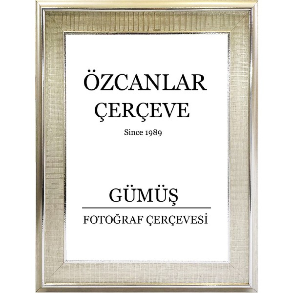 Özcanlar Çerçeve Boş Çerçeve Resim Çerçevesi Anı Çerçevesi 15X21 30X40 21X30 Çerçeve Gold Çerçeve Siyah Çerçeve - Gümüş - 50 x 70 Resim & Fotoğraf Çerçevesi Fiyatı